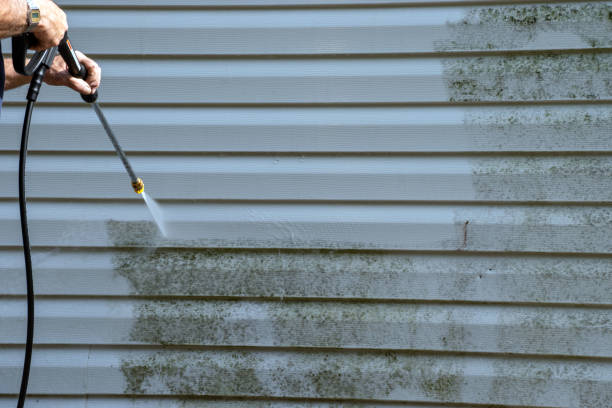 Best Same-Day Junk Removal Services  in Lake St Louis, MO