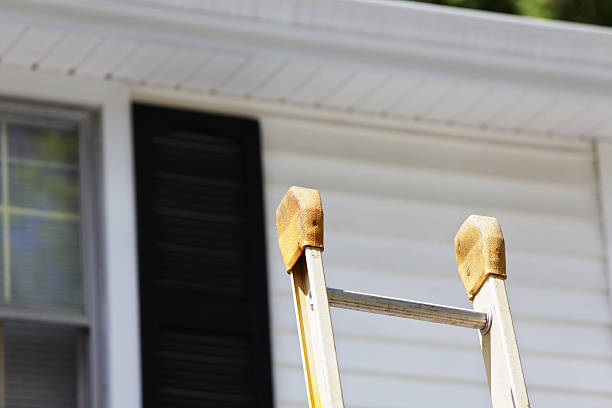Best Carpet Removal and Disposal  in Lake St Louis, MO
